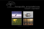Ryszard Czaplewski - Fotografia Przyrodnicza